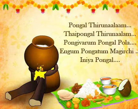 Pongal Greeting Cards 16607