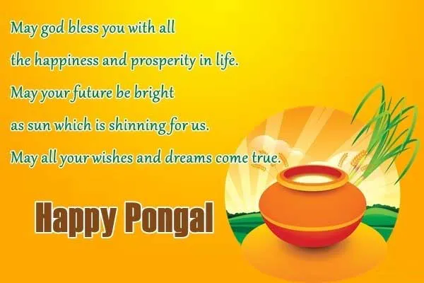 Pongal Greeting Cards 16615