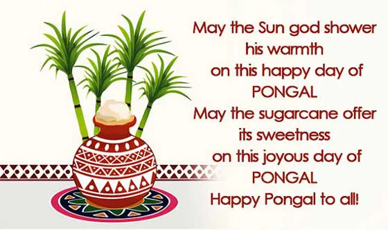 Pongal Greeting Cards 16622