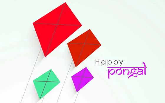 Pongal Greeting Cards 16621