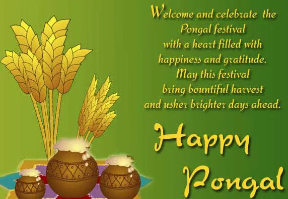 Pongal Greeting Cards 16620