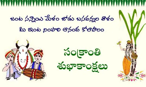 Pongal Greeting Cards 16619