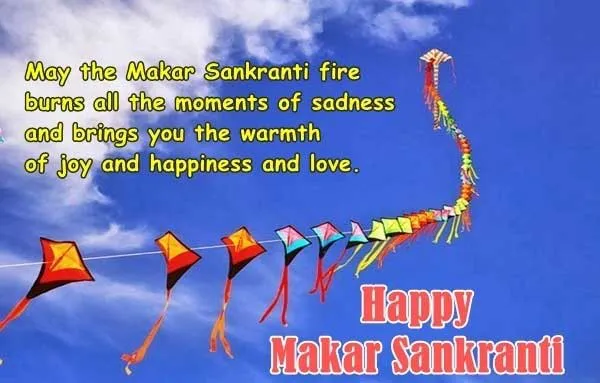 Makar Sankranti Greeting Cards 16460