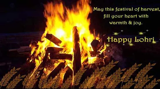 Lohri Greeting Cards 15513