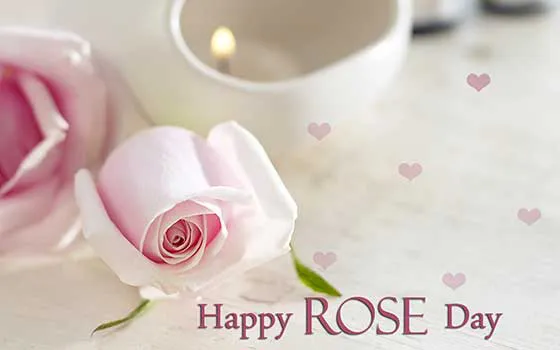 Rose Day Greeting Cards 21167