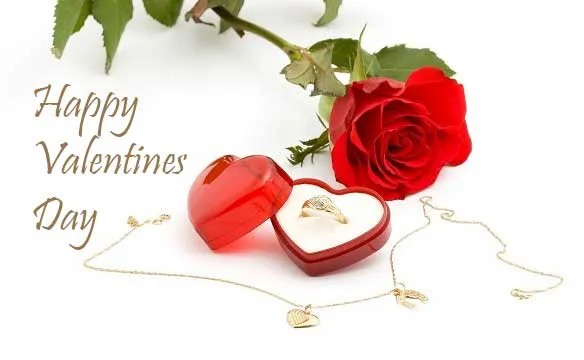 Valentine Day Greeting Cards 21397