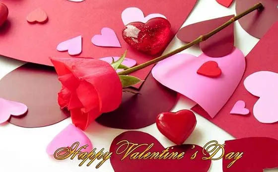Valentine Day Greeting Cards 21406