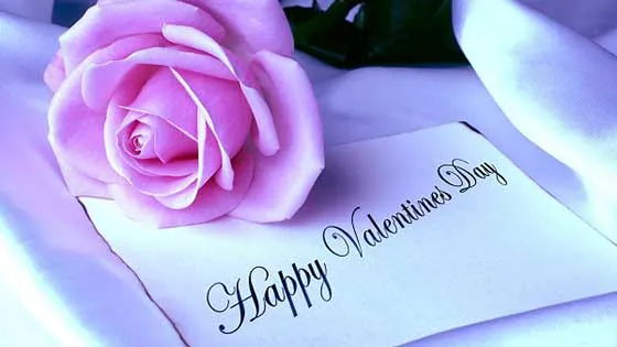Valentine Day Greeting Cards 21429