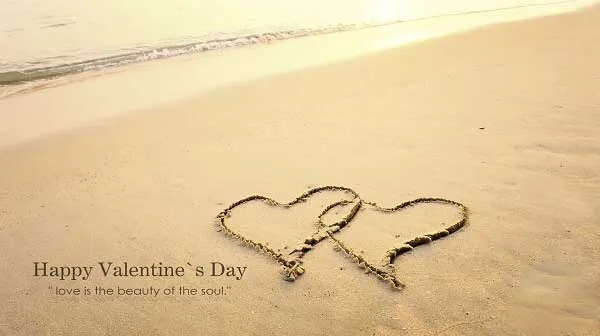 Valentine Day Greeting Cards 21439