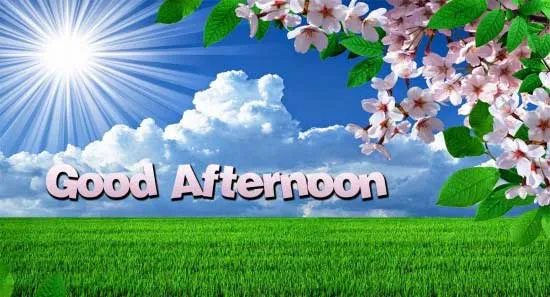 Good Afternoon Greetings Greeting Cards 19761