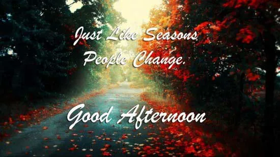 Good Afternoon Greetings Greeting Cards 19759