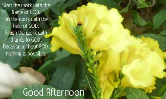 Good Afternoon Greetings Daily Greeting Good Afternoon Greetings Greeting Cards Image