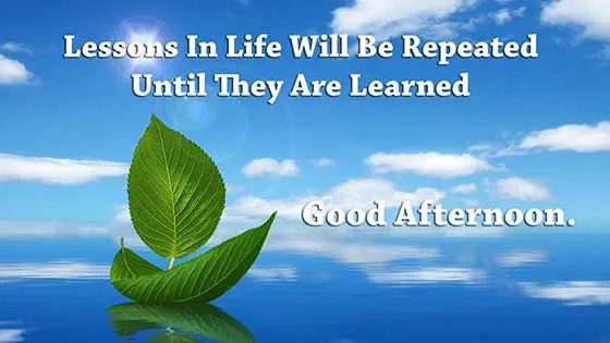 Good Afternoon Greetings Greeting Cards 19748