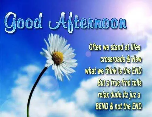 Good Afternoon Greetings Greeting Cards 19753