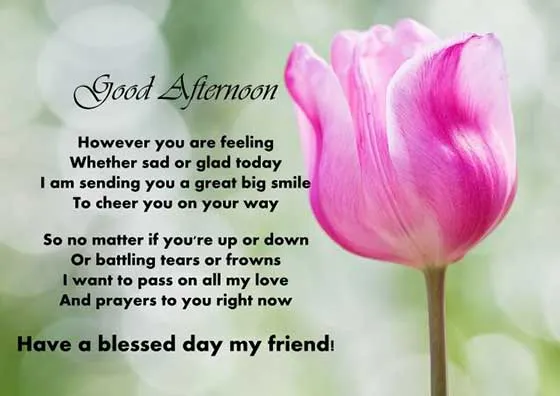 Good Afternoon Greetings Greeting Cards 19755