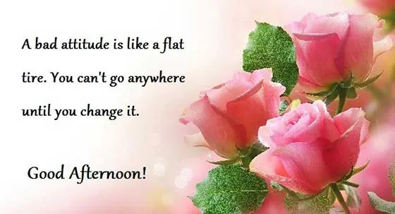 Good Afternoon Greetings Greeting Cards 19752