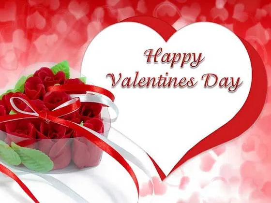 Valentine Day Greeting Cards 21447