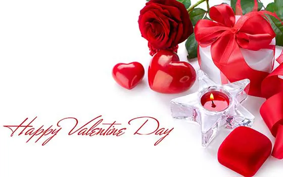 Valentine Day Greeting Cards 21446