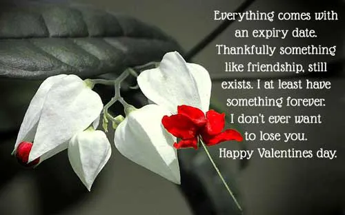 Valentine Day Greeting Cards 21444