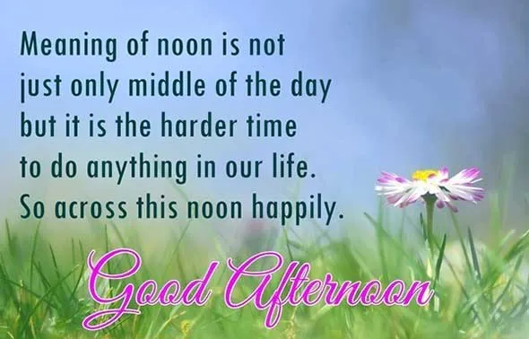 Good Afternoon Greetings Greeting Cards 19743