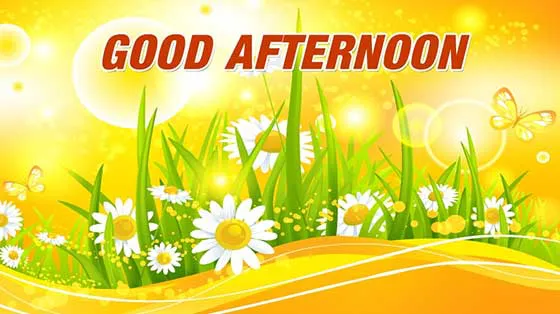 Good Afternoon Greetings Greeting Cards 19744
