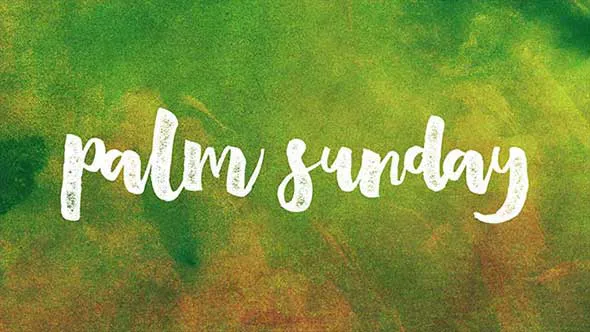 Palm Sunday Greeting Cards 17182