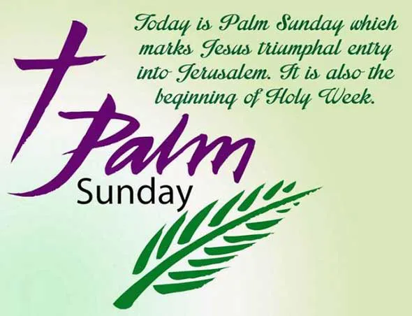 Palm Sunday Greeting Cards 17196