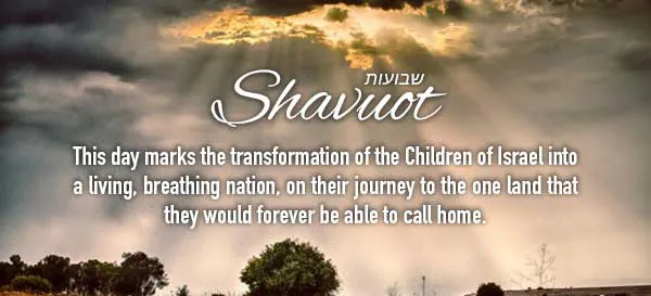 Shavuot Greeting Cards 17493