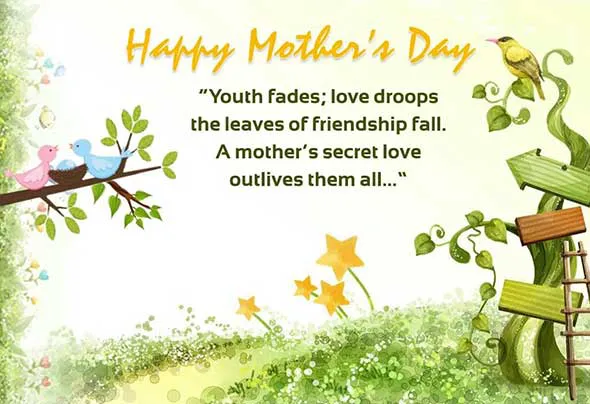 Mothers Day Greeting Cards 20973