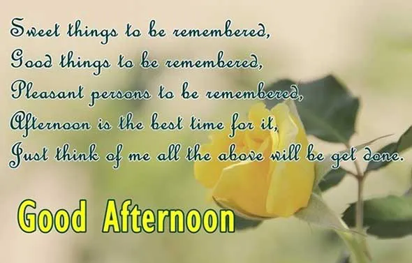 Good Afternoon Greetings Greeting Cards 19745