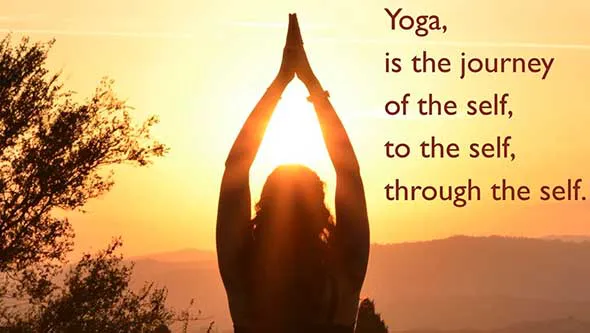 International Yoga Day Greeting Cards 20614