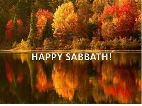Shabbat Shalom Greeting Cards 50958