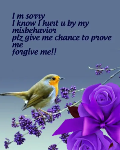 I Am Sorry Greetings Greeting Cards 52034