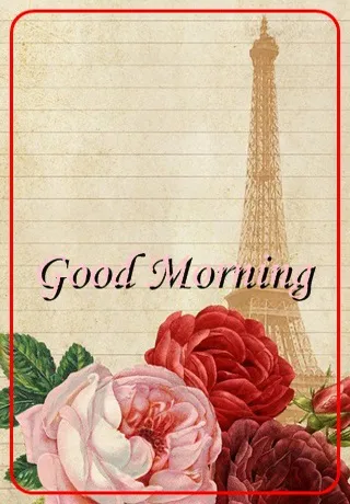 Saturday Greetings Greeting Cards 15320
