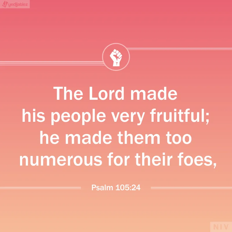 Bible Verses Greetings Greeting Cards 22740