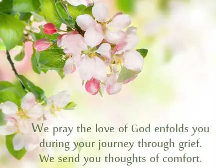 Sympathy Greetings Greeting Cards 19804