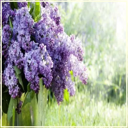 Saturday Greetings Greeting Cards 15323