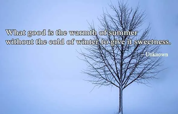 Winter Greetings Greeting Cards 19278