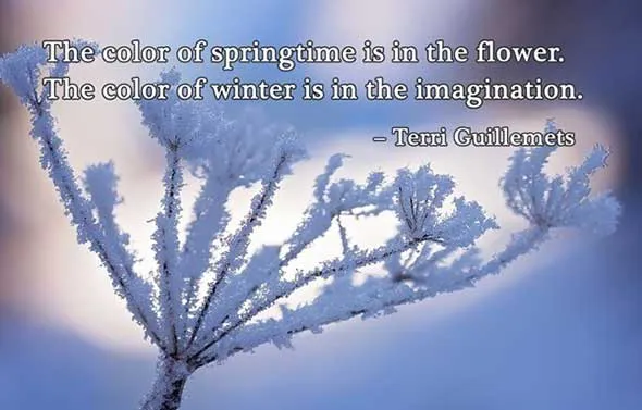 Winter Greetings Greeting Cards 19284