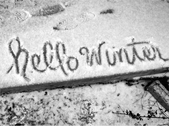 Winter Greetings Greeting Cards 19285