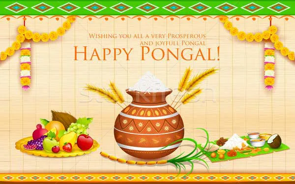 Pongal Greeting Cards 16631