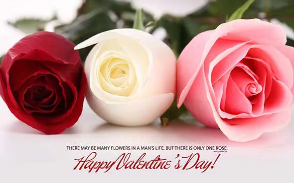 Valentine Day Greeting Cards 21450