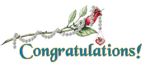 Congratulation Greetings Greeting Cards 19552