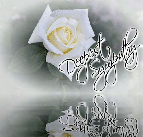 Sympathy Greetings Greeting Cards 19790