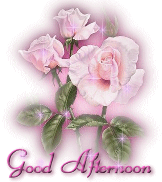 Good Afternoon Greetings Greeting Cards 19720