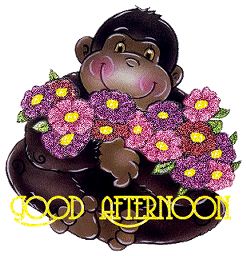 Good Afternoon Greetings Greeting Cards 19717
