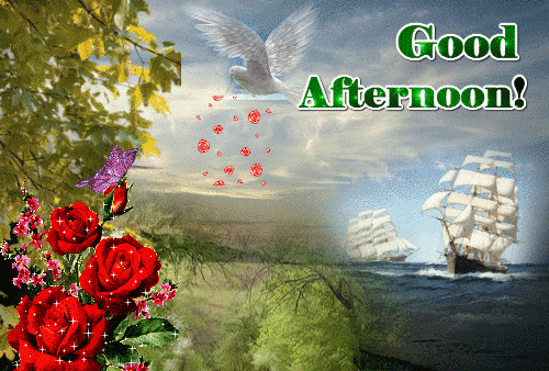 Good Afternoon Greetings Greeting Cards 19715