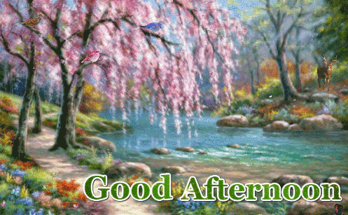 Good Afternoon Greetings Greeting Cards 19723