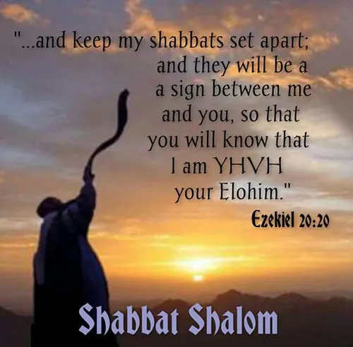 Shabbat Shalom Greeting Cards 17448