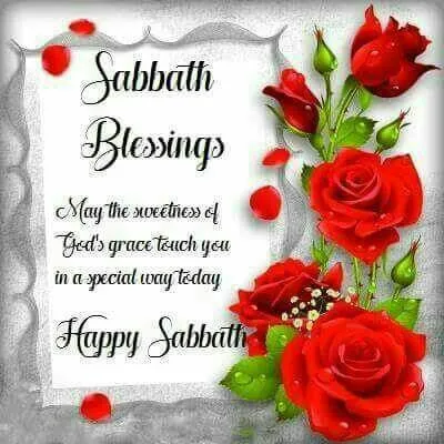 Shabbat Shalom Greeting Cards 17452